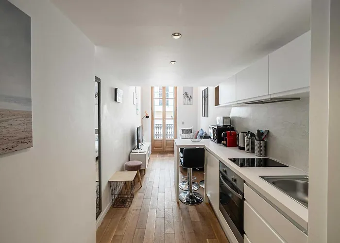 Bright Duplex-cannes Centre -mobility Lease Daire