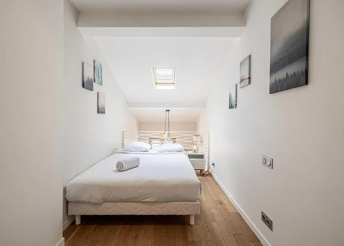 Bright Duplex-cannes Centre -mobility Lease Daire